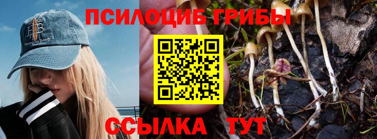 Алушта  магазин  наркотиков  Вход с VPN  Псилоцибиновые грибы прущие грибы 