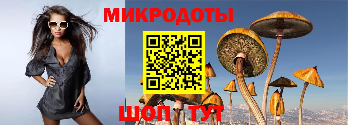 Псилоцибиновые грибы Cubensis Алушта